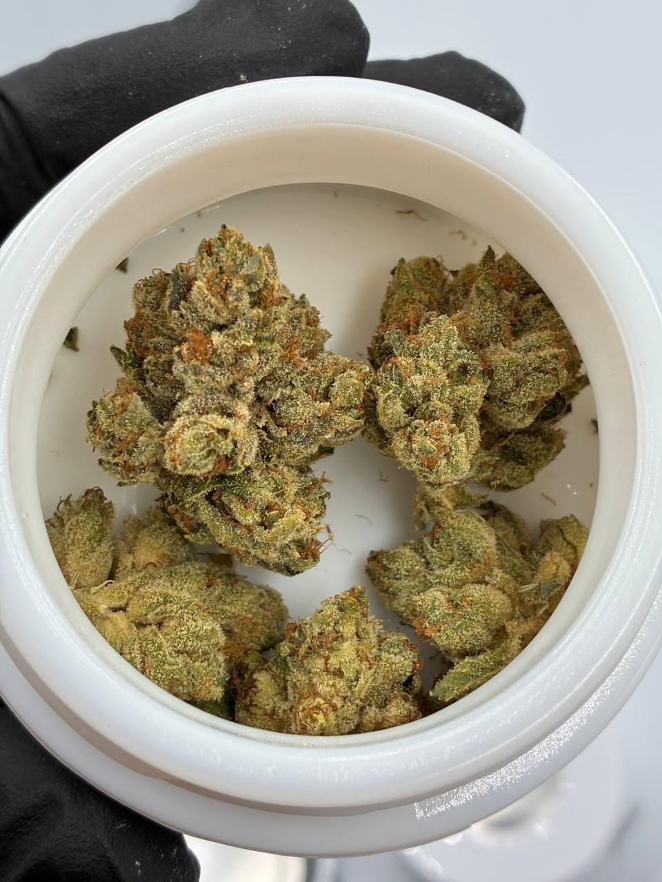 710 Labs Flower UK