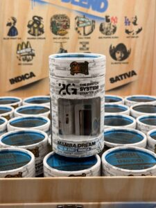 Swiitch 2G Disposable UK