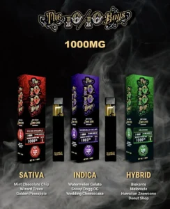 1010 Boys 1G Disposable UK