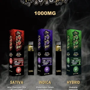 1010 Boys 1G Disposable UK