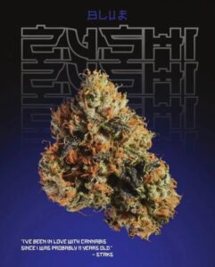 Blue Zushi Strain UK