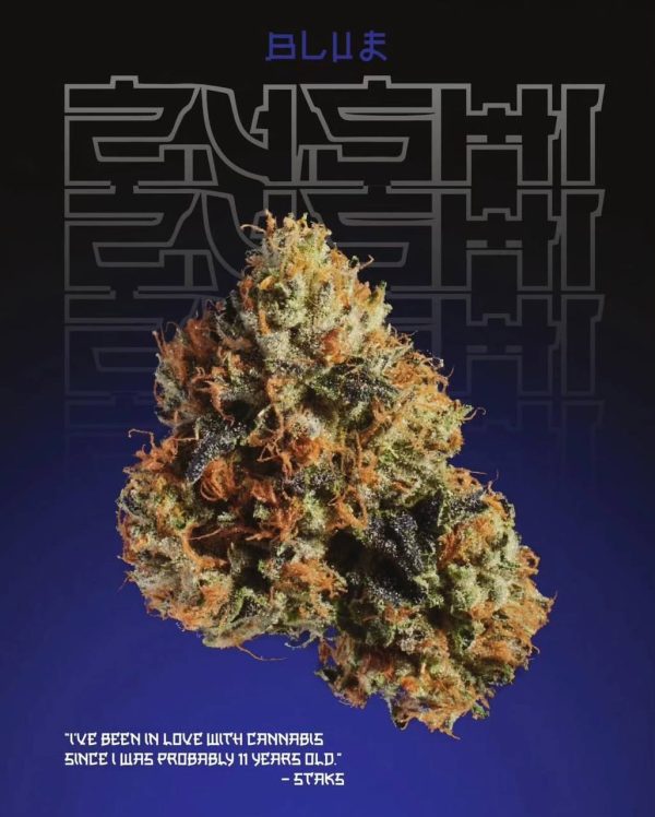 Blue Zushi Strain UK