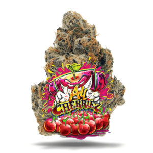 Jungle Boys Flower UK