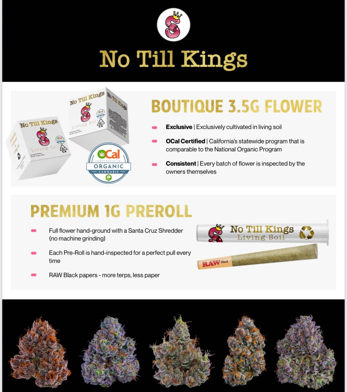 No Till Kings 1/8th Flower UK