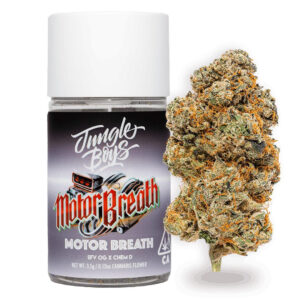 Jungle Boys Flower UK