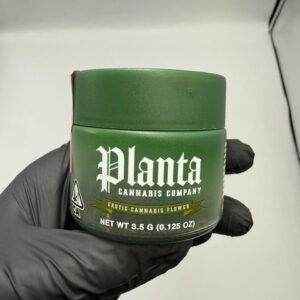 Planta Cannabis Company Zoap Flower UK