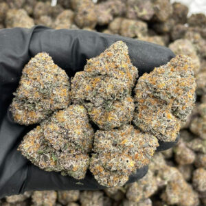 RS-11 Flower UK